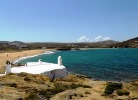 Ftelia beach Mykonos
