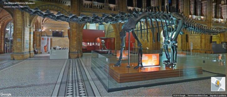 London Natural History Museum Google Art Project