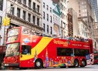 city sightseeing Gray line bus new york