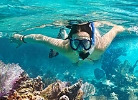 Bonaire snorkeling