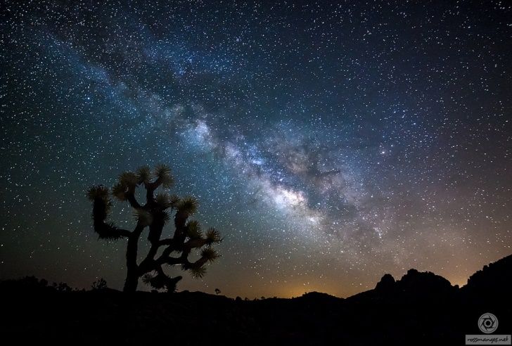 Joshua Tree National Park notte cielo stellato